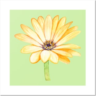 Yellow gerbera flower Posters and Art